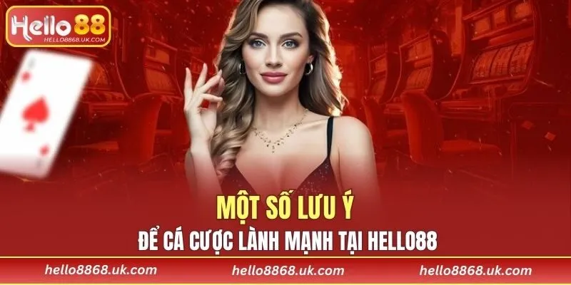 Giải pháp cược an toàn cùng nhà phân phối