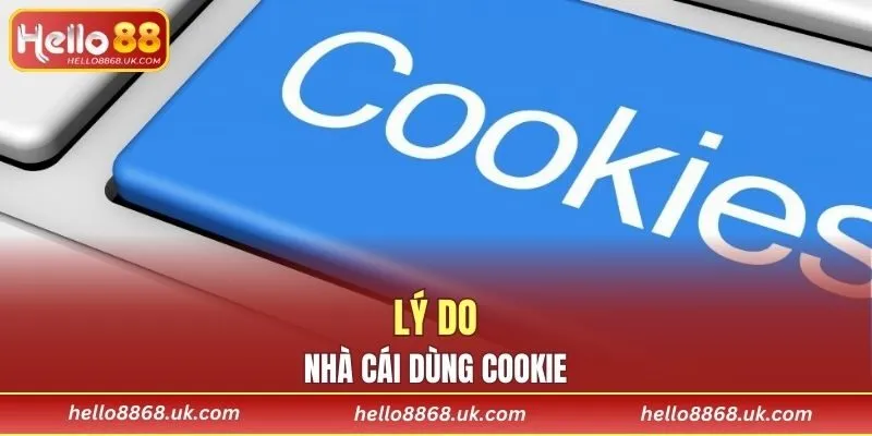 Lý do nhà cái dùng cookie