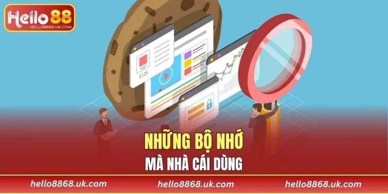 Những bộ nhớ mà nhà cái dùng